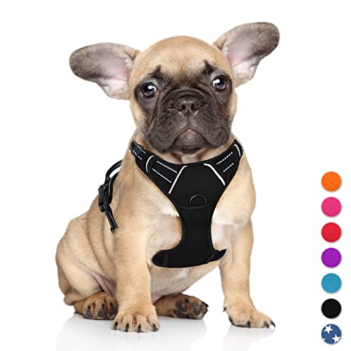 Barkbay no pull dog harness