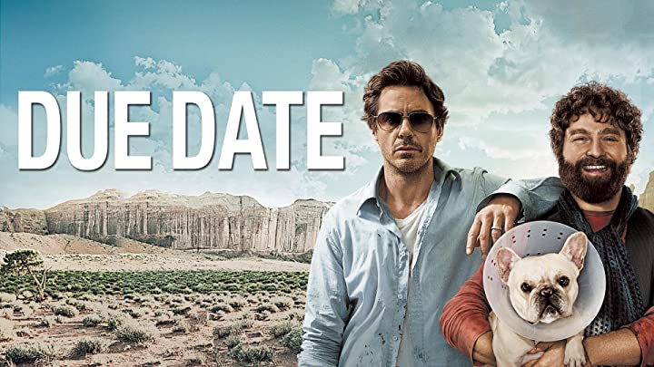 Top 5 French Bulldogs In Movies You Must Watch 7 French bulldog named sunny in the movie due date