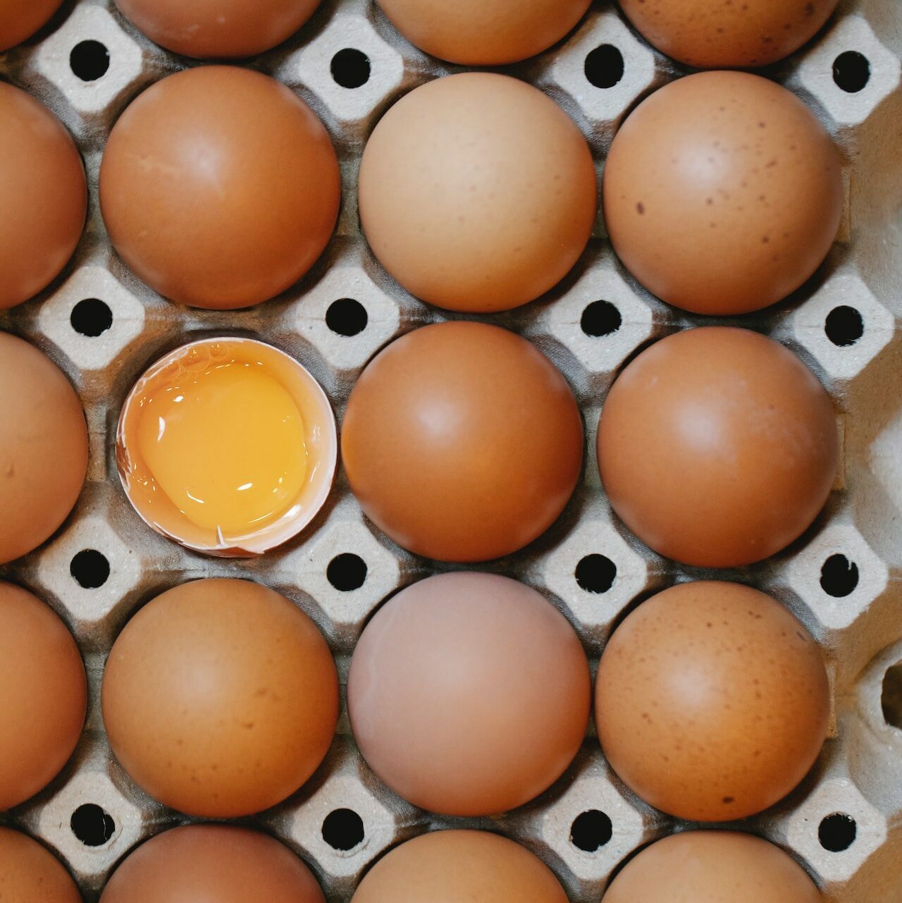 Carton of eggs