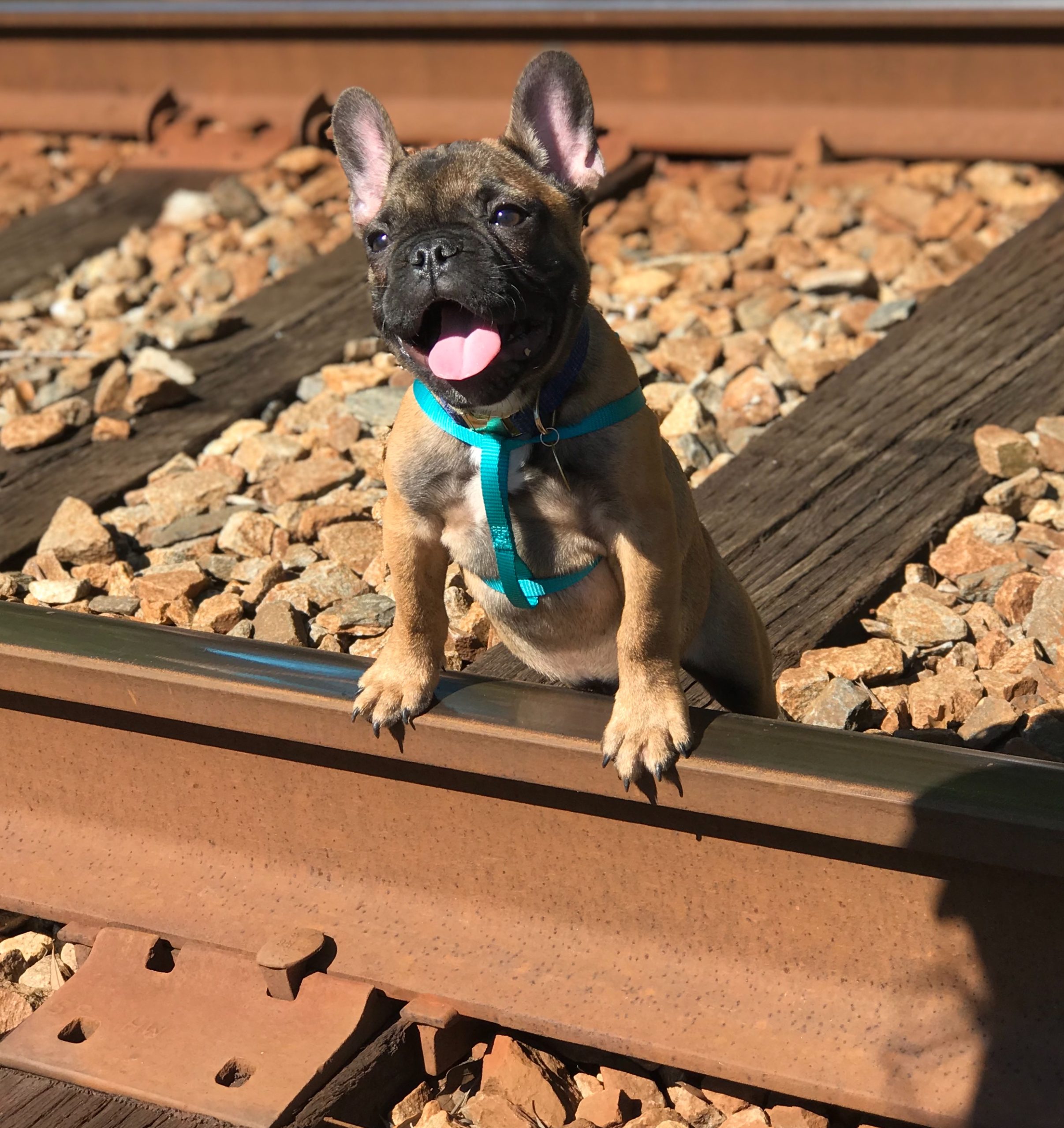 Charlie as a happy baby