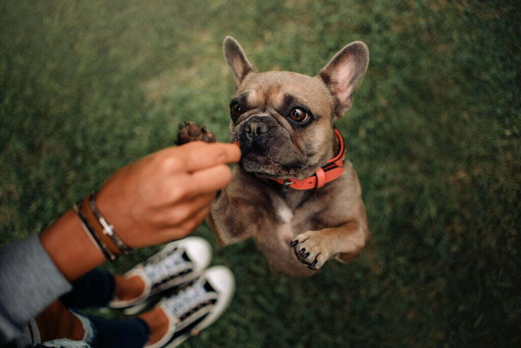 Istock 1211523600