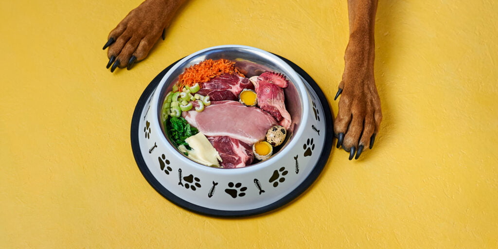 Istock 1255734902