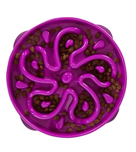 Outward hound fun feeder slo bowl, slow feeder dog bowl